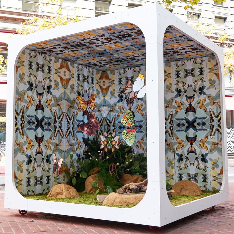 Rorschach Butterflies by Robert Malmberg on Market Street: a white cube lined with butterfly-print wallpaper, sculptural butterflies over a mossy garden.